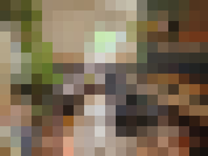 Image 26