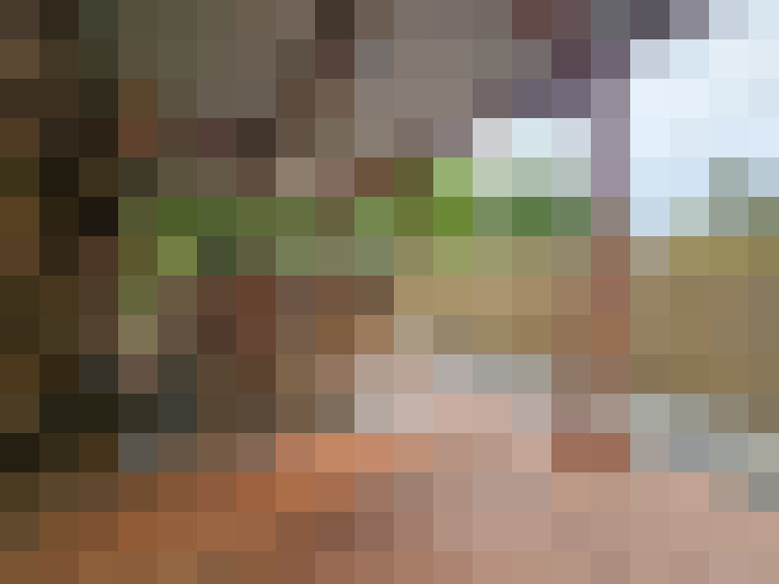 Image 31