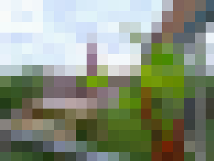 Image 20