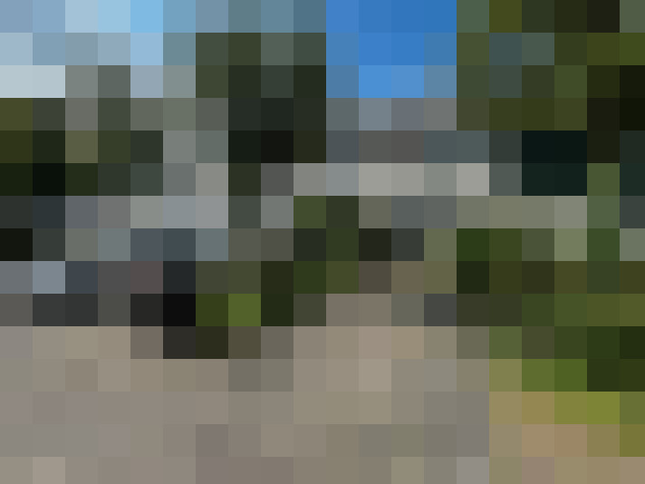 Image 24
