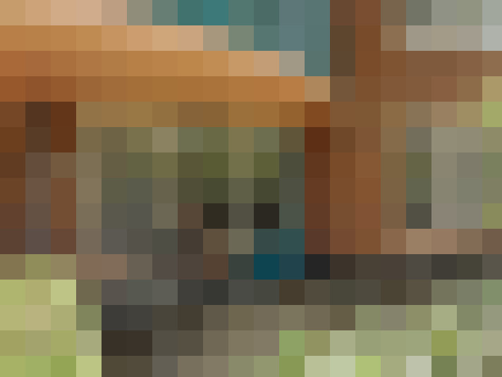 Image 21