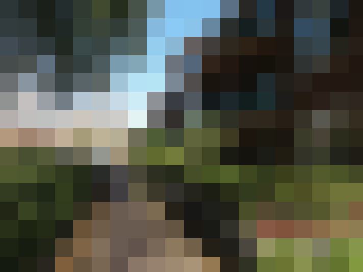 Image 20