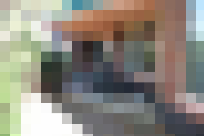 Image 22