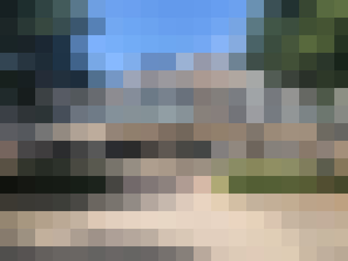 Image 13