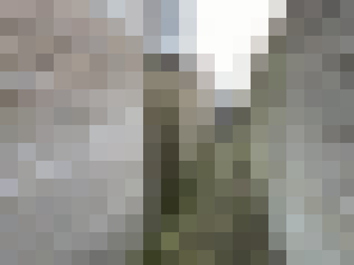 Image 13