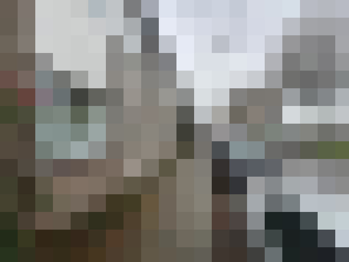 Image 14