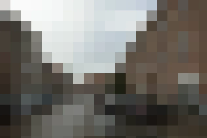 Image 20