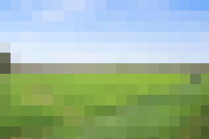 Image 62