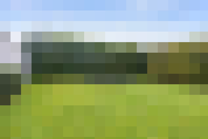 Image 56