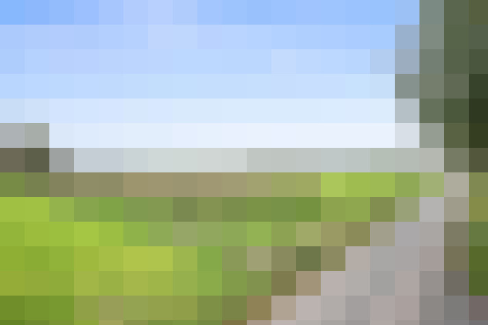 Image 61
