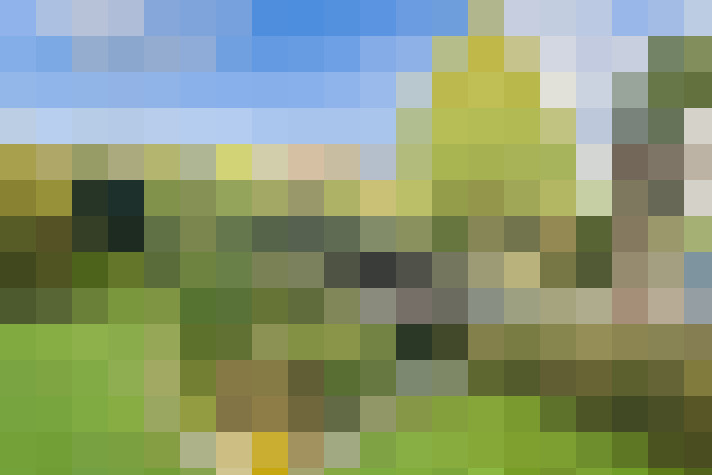 Image 53