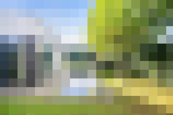 Image 50