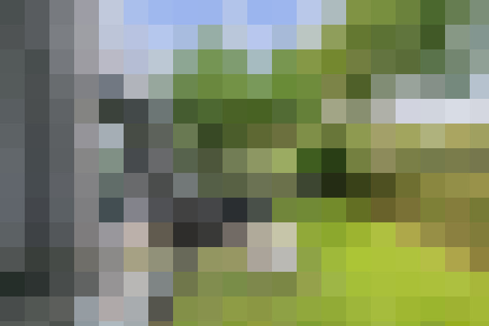 Image 47