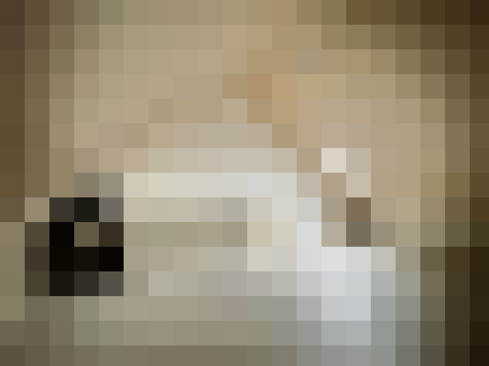 Image 13