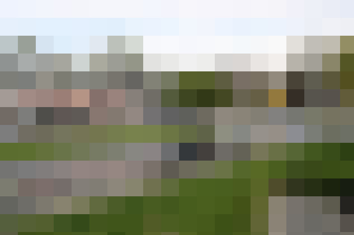 Image 41