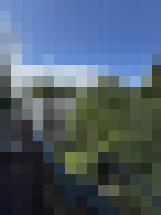 Image 23