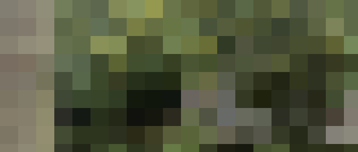 Image 13