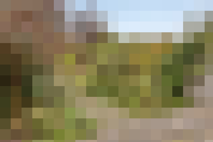 Image 16