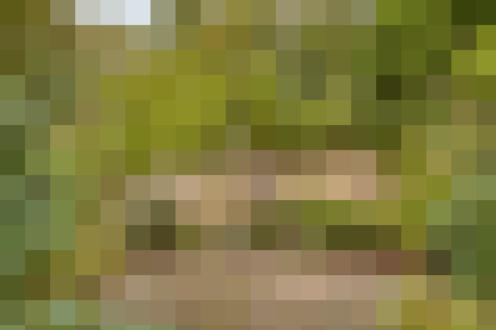 Image 20
