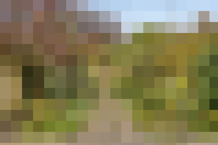 Image 17