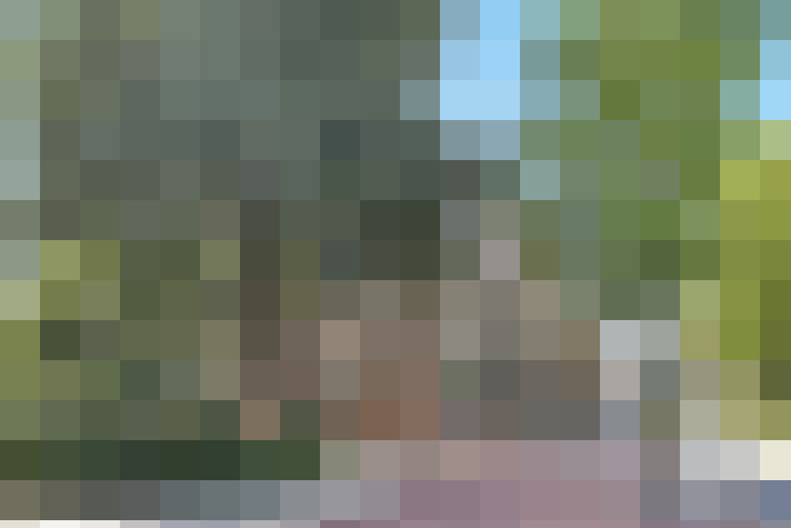 Image 30