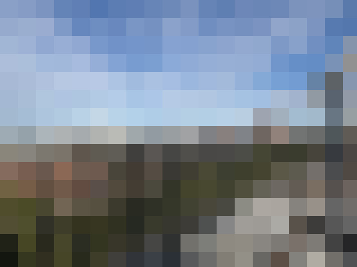 Image 23