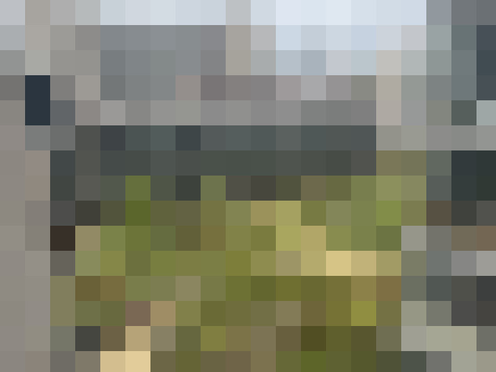 Image 13