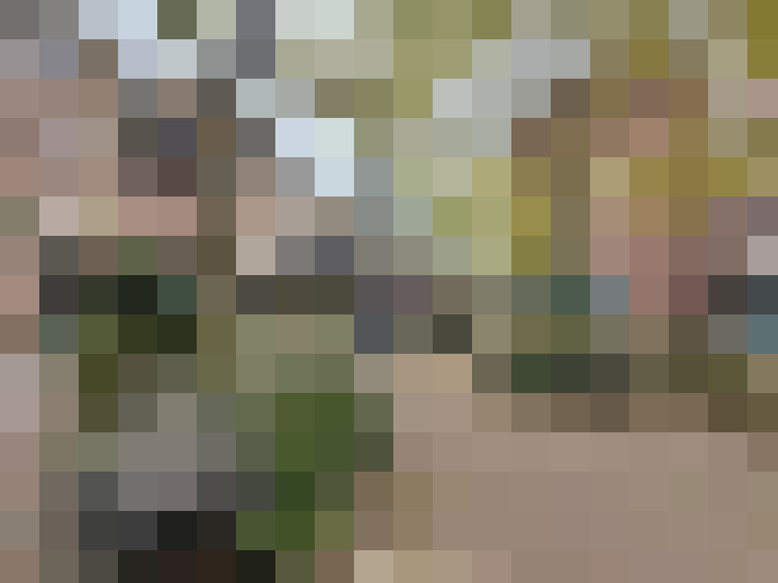 Image 25