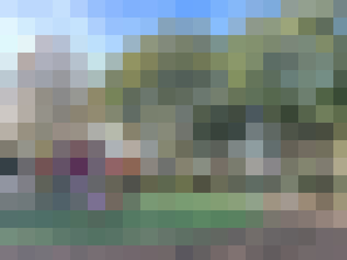 Image 15
