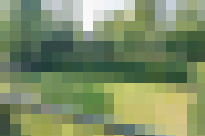 Image 52