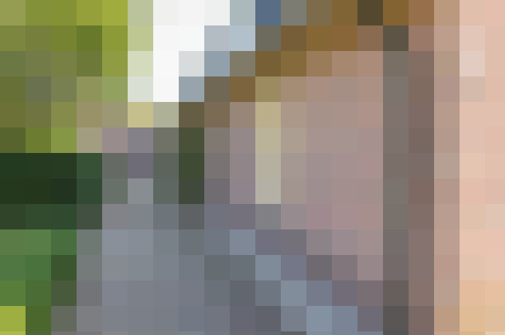 Image 15