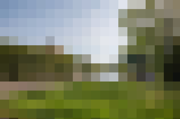 Image 14