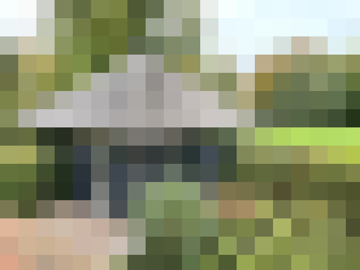 Image 53