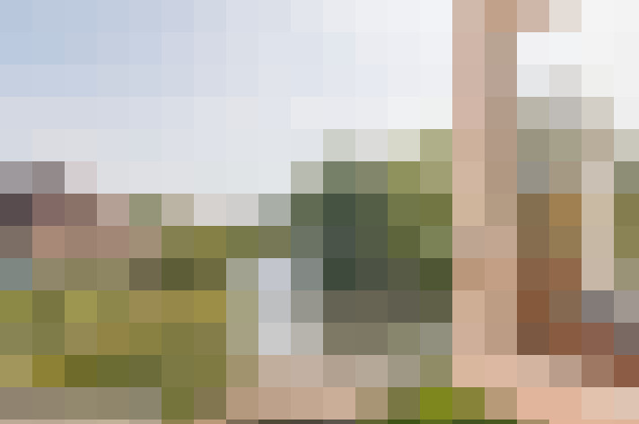 Image 42