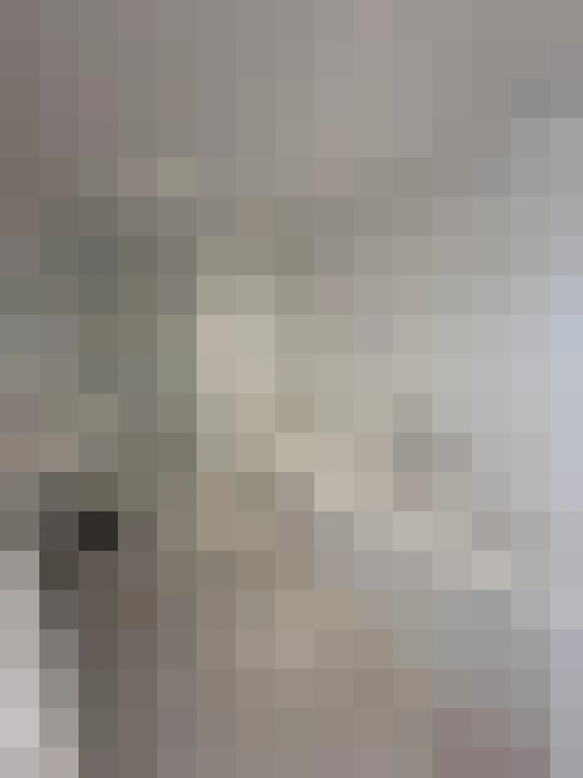 Image 44