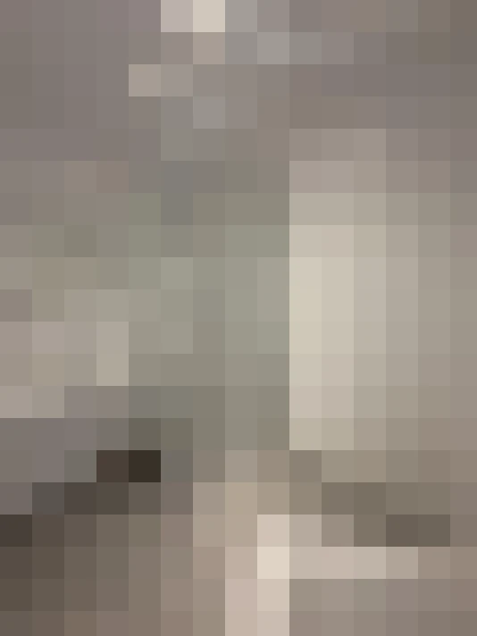 Image 41