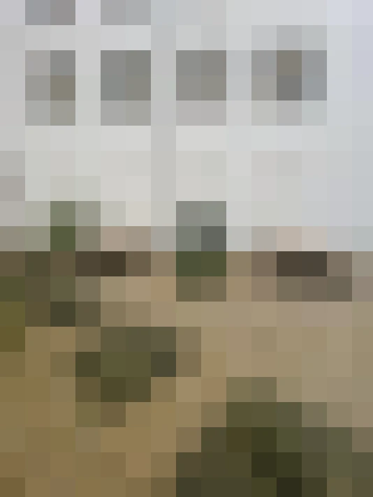 Image 67