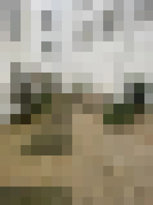 Image 66