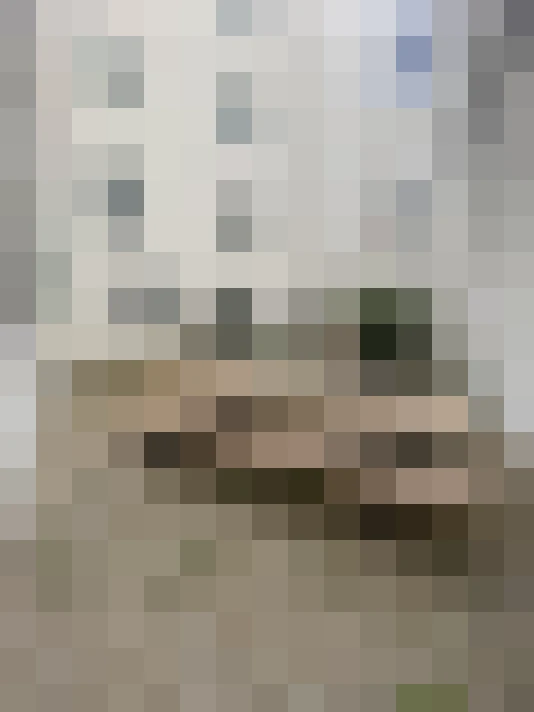 Image 65