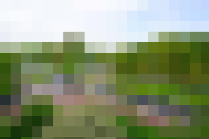 Image 26