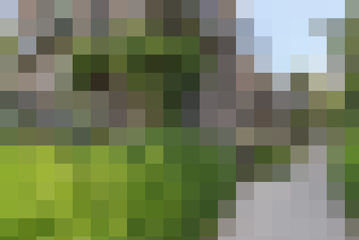 Image 39