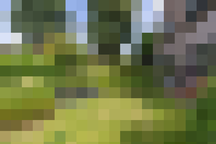Image 37