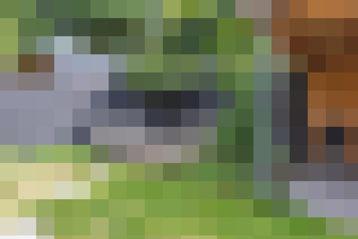Image 44
