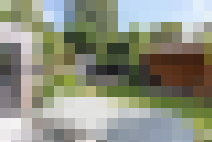 Image 42
