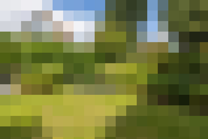 Image 38
