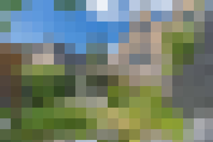 Image 46