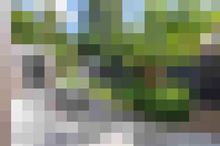 Image 41