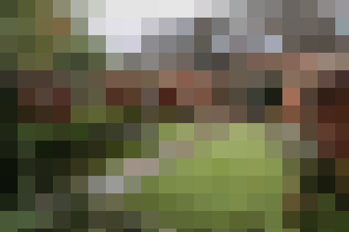 Image 16