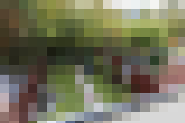 Image 34