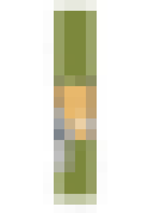 Image 41